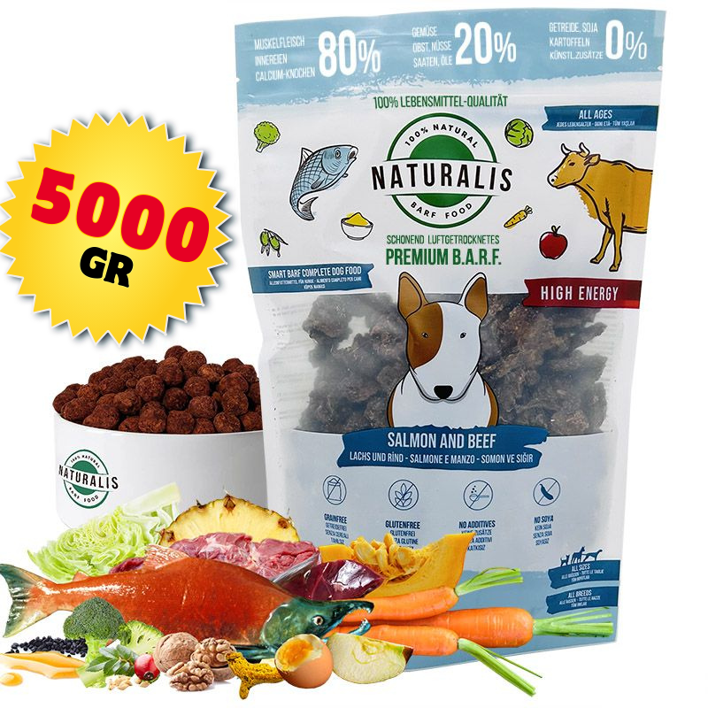 Somon & Sığır Barf